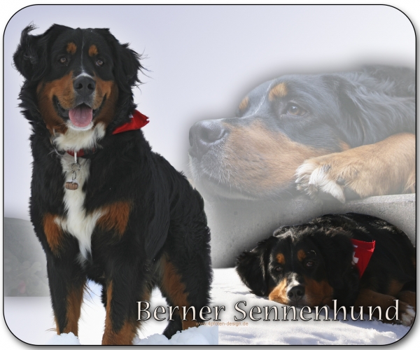 Mousepad Berner Sennenhund